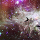 Illustration for article titled Boomerangs in Space